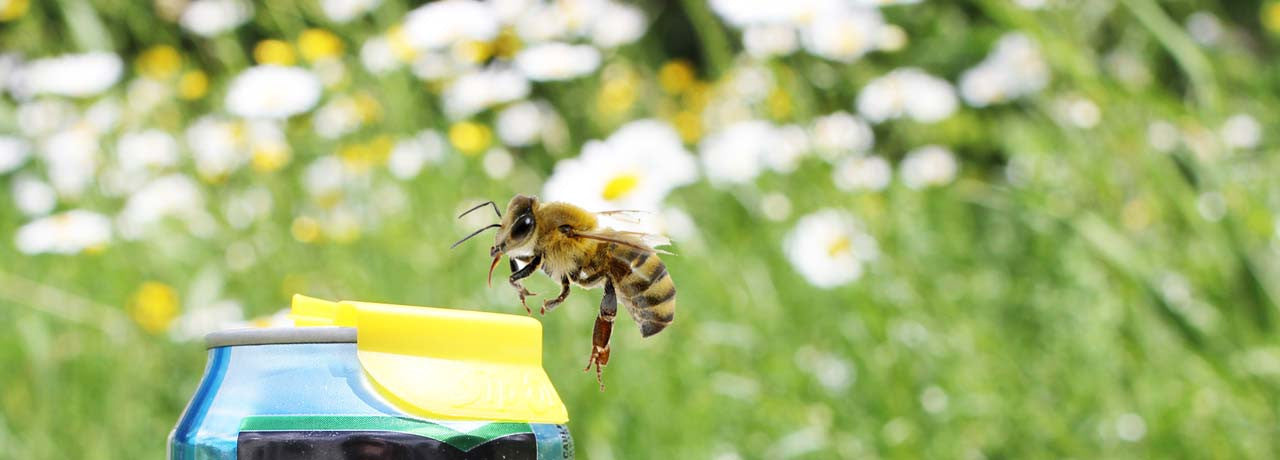 Protège le contenu de votre canette!